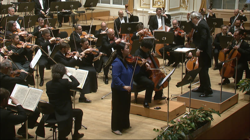 Schmidt / Brahms